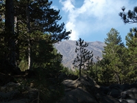 Torrente_Quarantore - 20110911 006.jpg